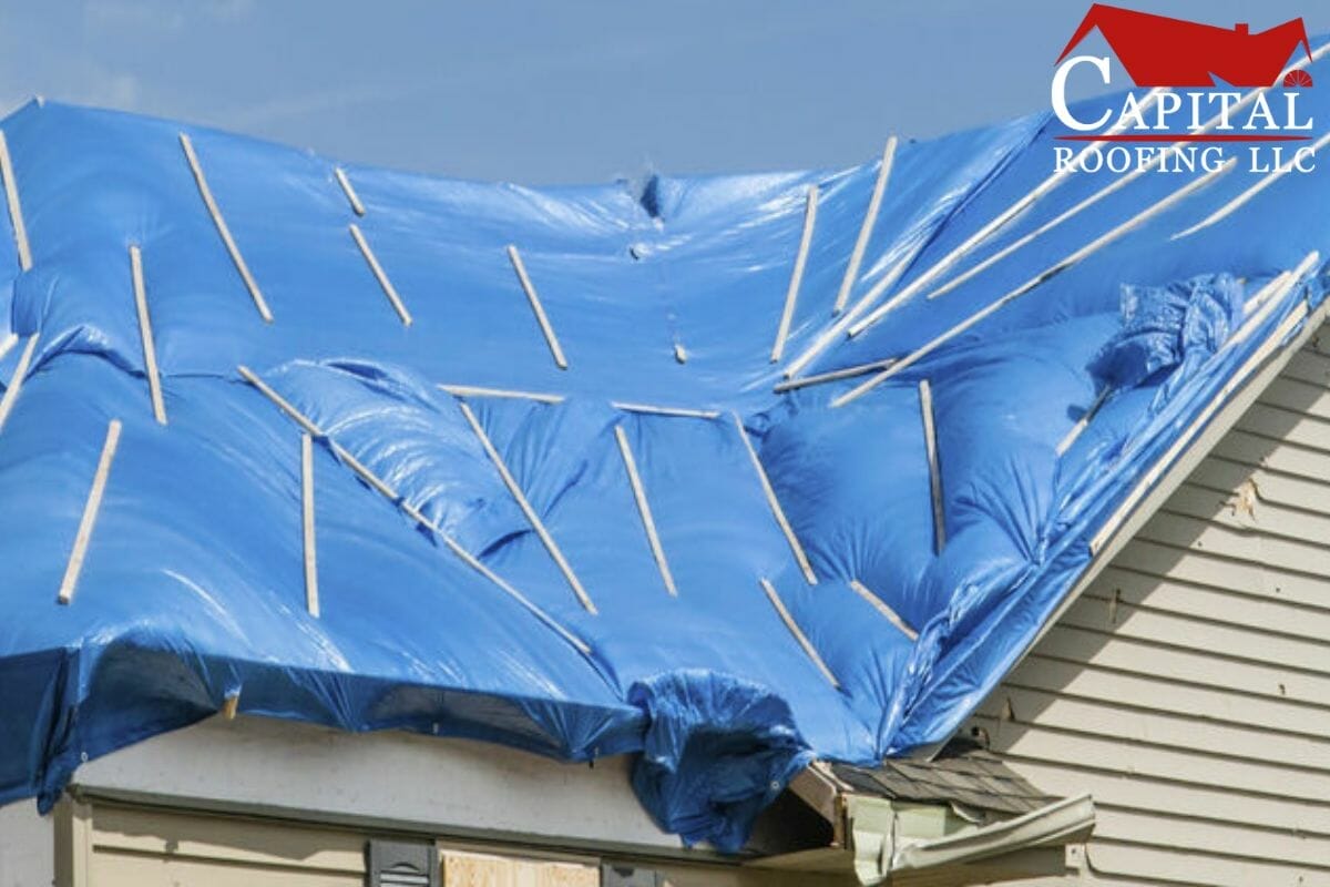 Roof Tarps: Everything Homeowners Should Know